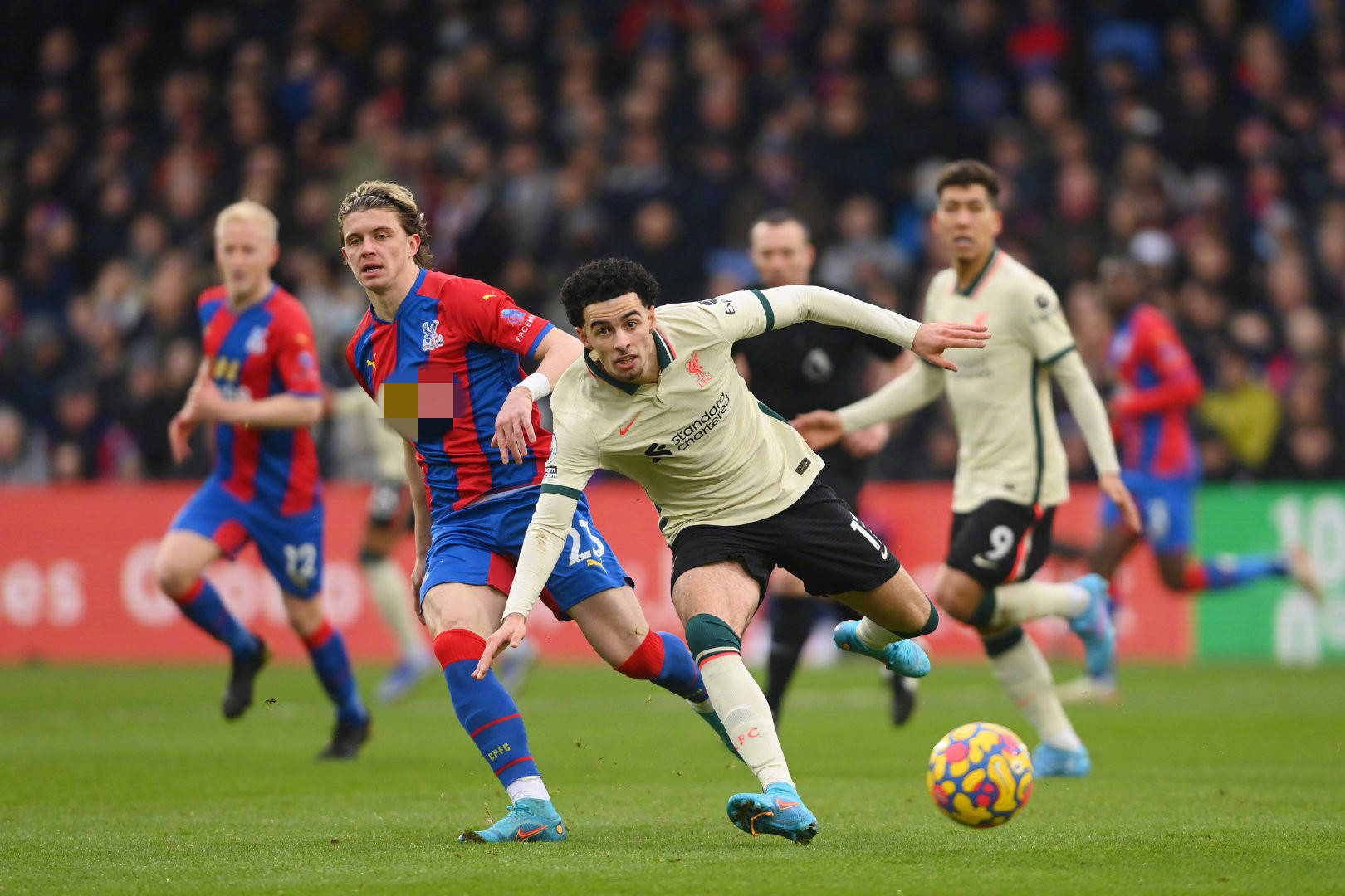 念也运用到 念也运用到